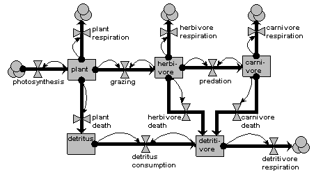 Ecosystem energy flow model diagram