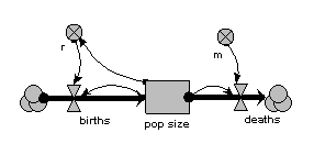 Lumped population model diagram