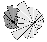 Interaction between segments of neighbouring trees